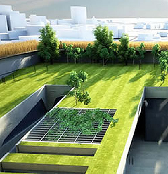 Roof garden Grupo Soleco