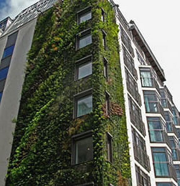 Muros Verdes Grupo Soleco